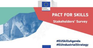 Il-Quadro-Europeo-Cose-lEU-Pact-for-Skills-della-Commissione-Europea